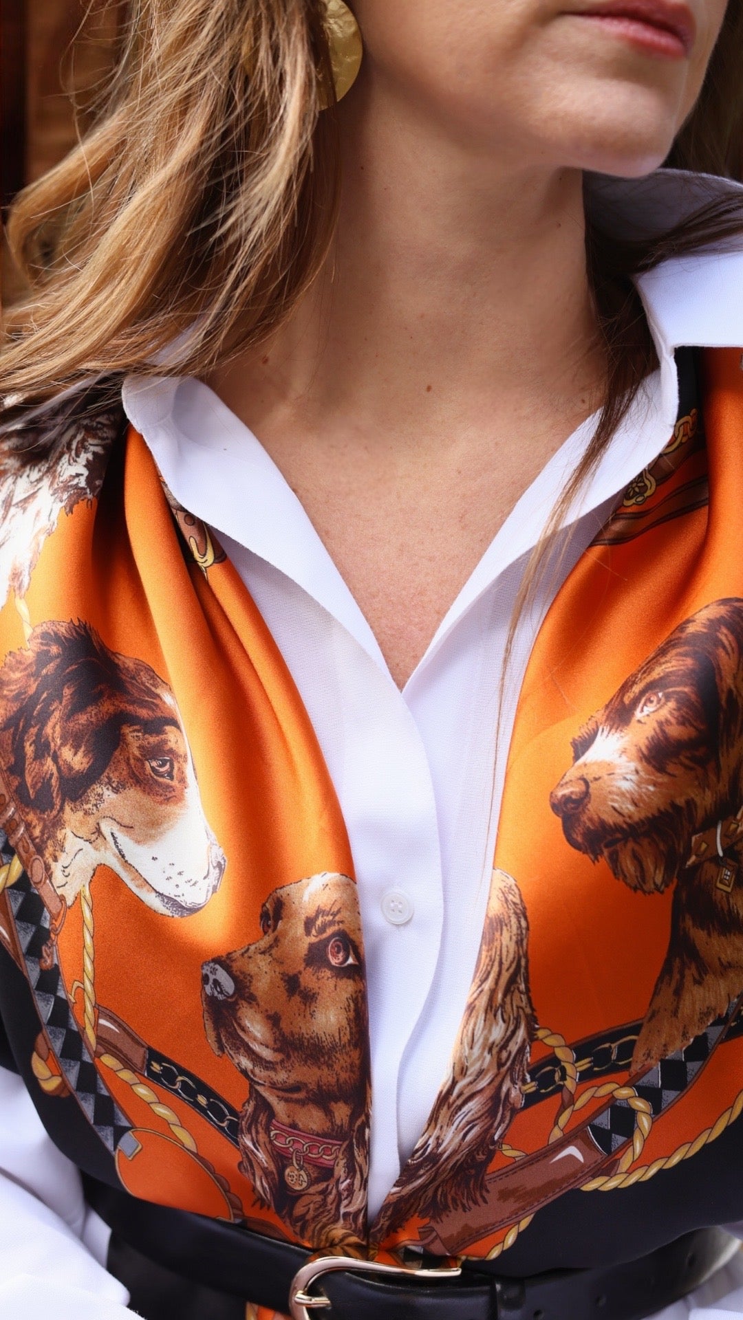 Silk Scarf - Best Friends